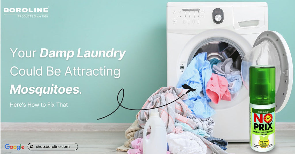 Your Damp Laundry Could Be Attracting Mosquitoes — Here's How to Fix That