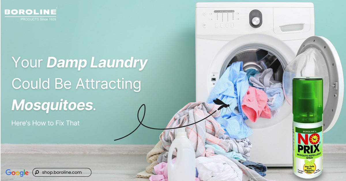 Your Damp Laundry Could Be Attracting Mosquitoes — Here's How to Fix That