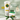 Winter Care Bundle